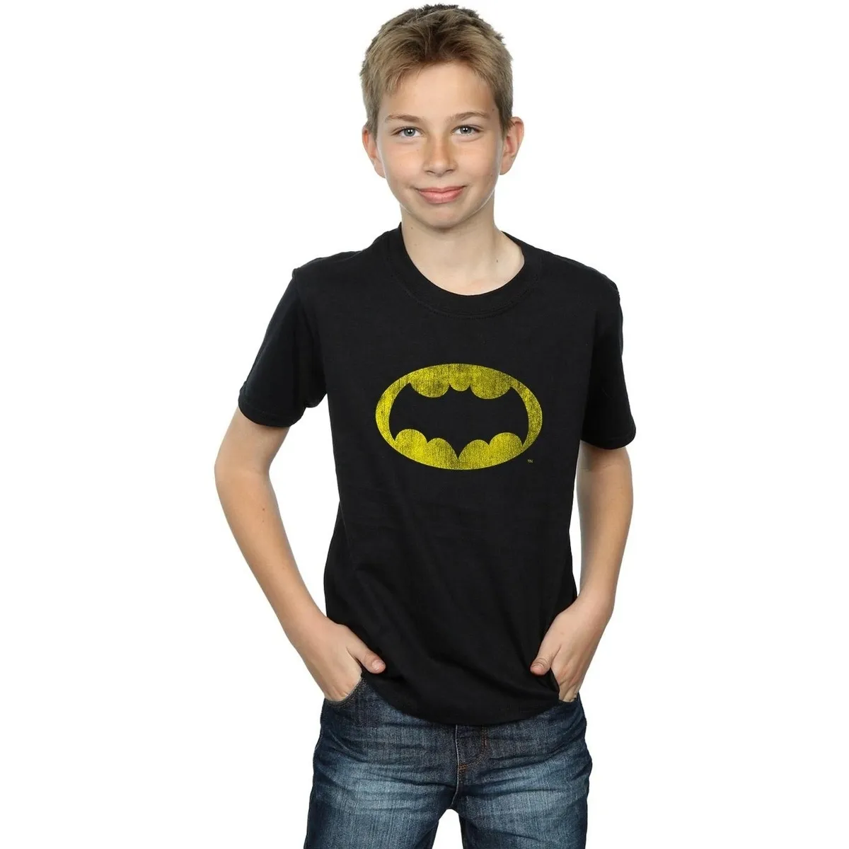 Batman TV Series Distressed Logo