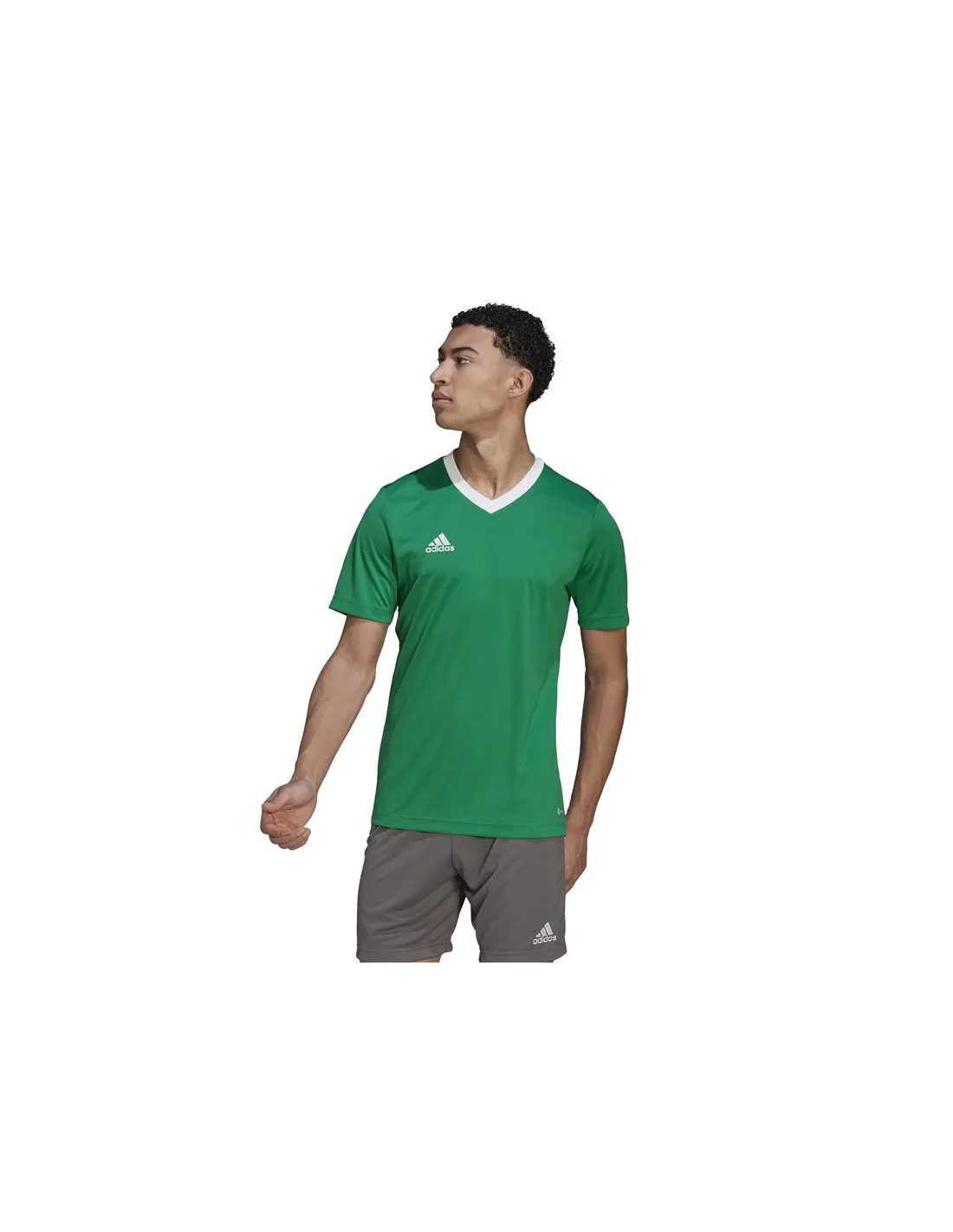 Camiseta de fútbol adidas Entrada 22 Green M