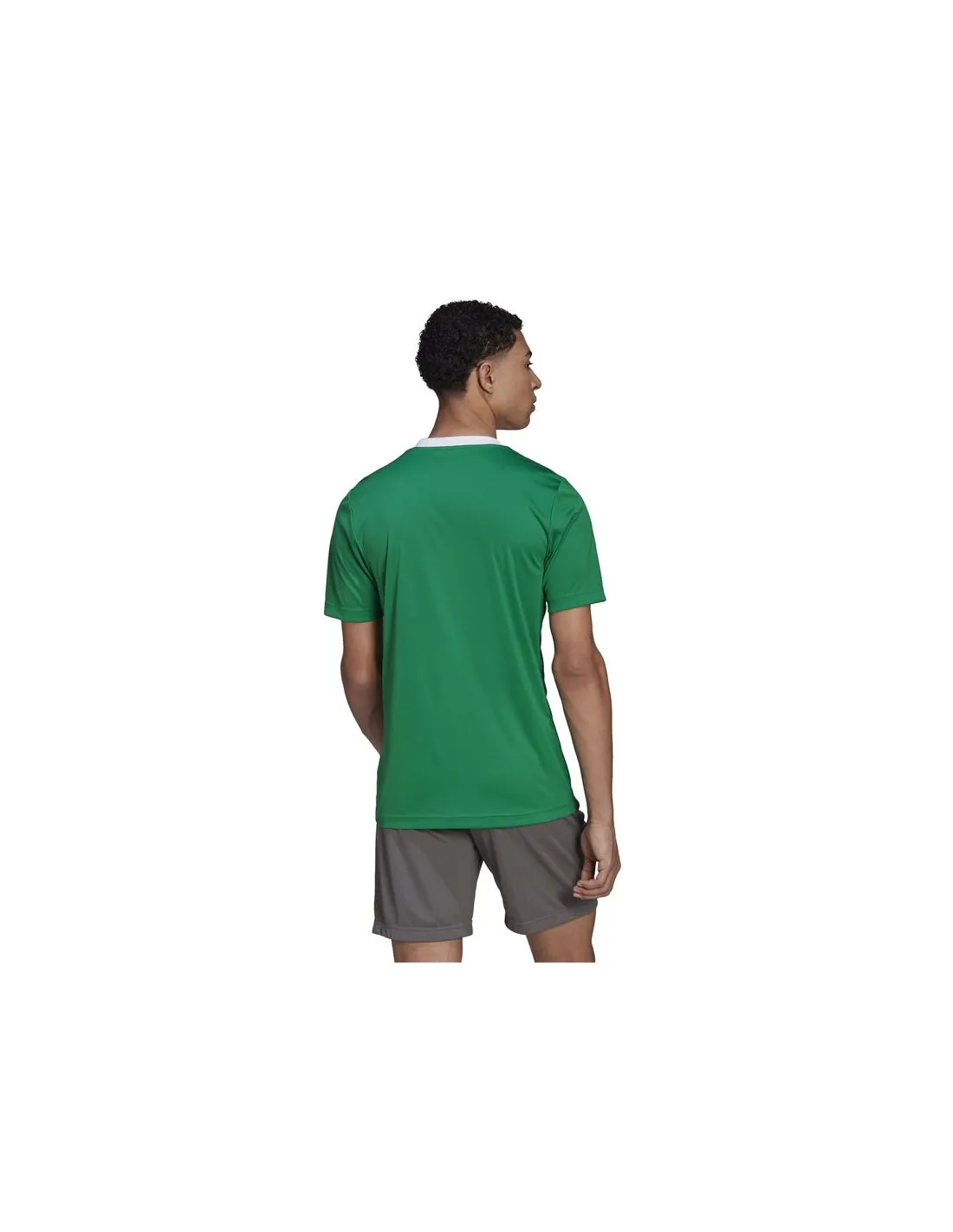 Camiseta de fútbol adidas Entrada 22 Green M