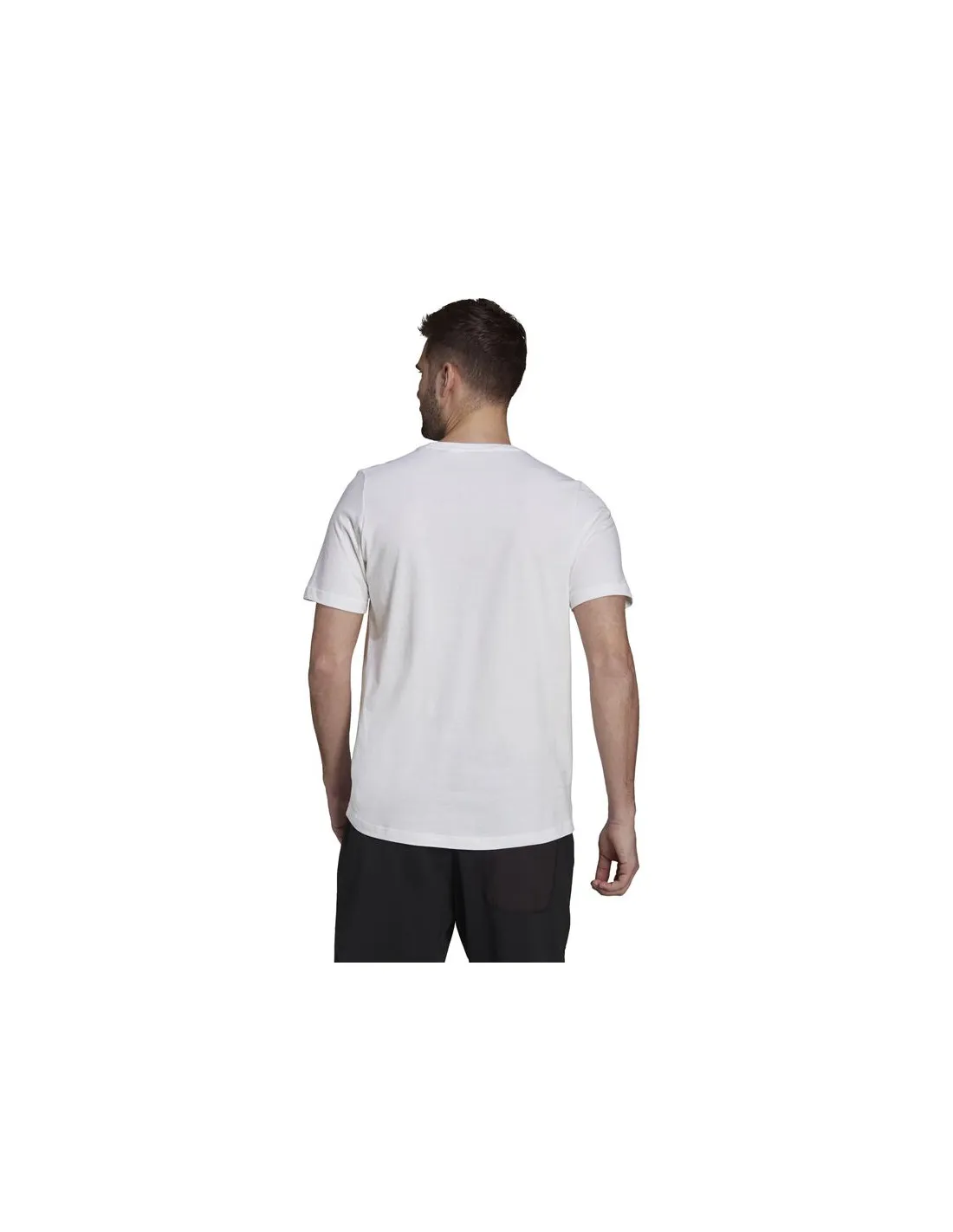 Camiseta de montaña adidas Terrex Pocket Graphic M White