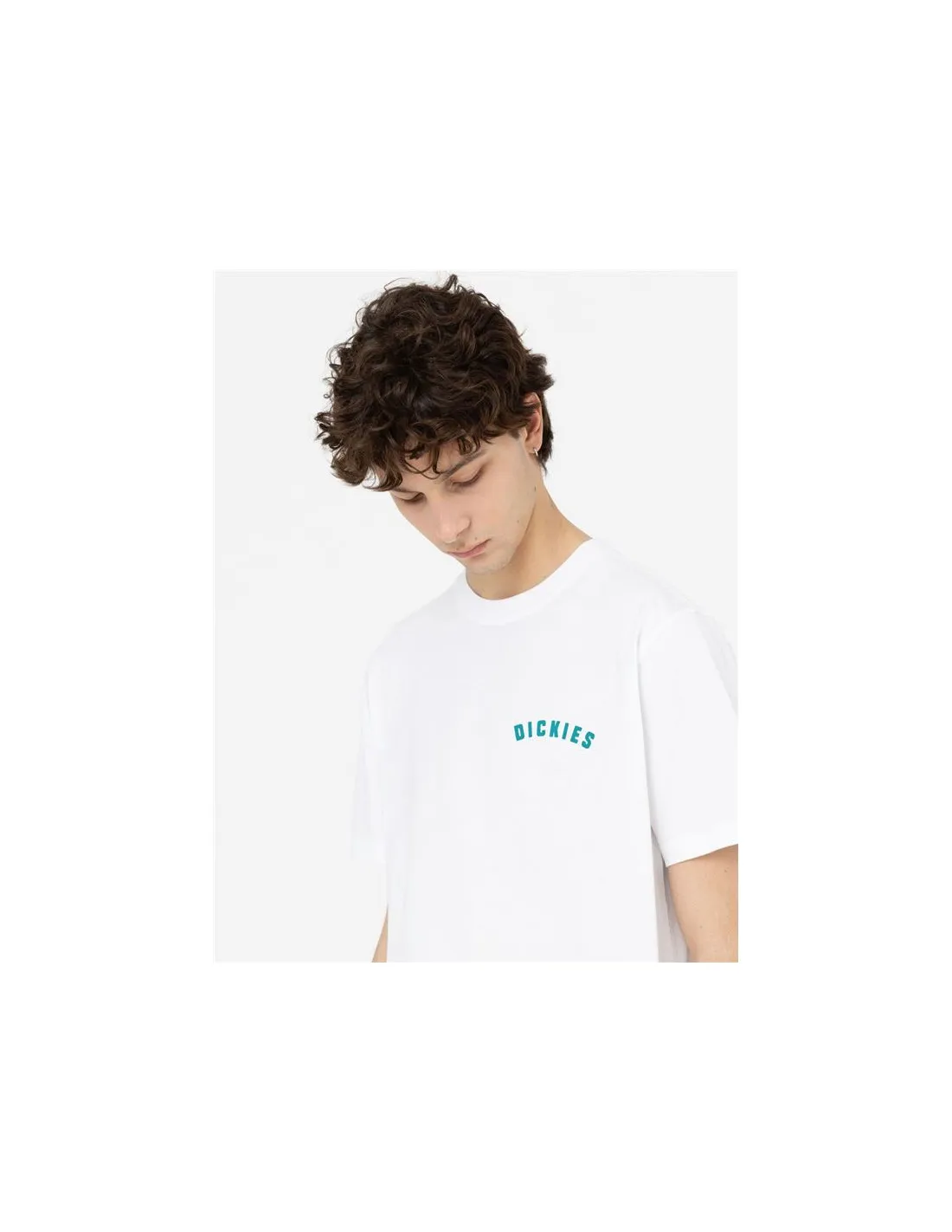Camiseta Dickies Kerby Blanco Hombre