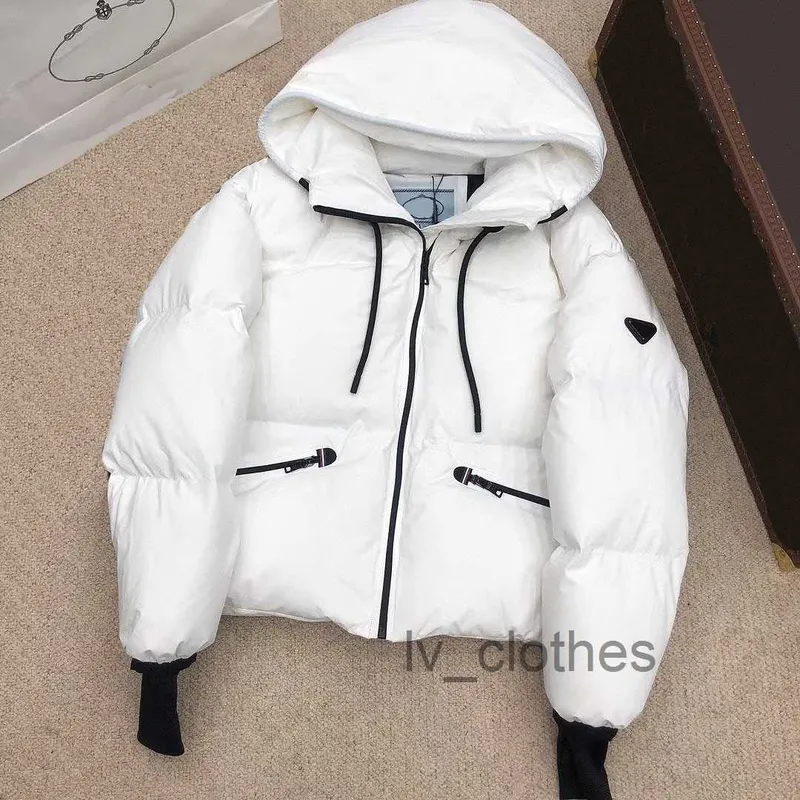 Chaqueta de plumón para mujer, sudadera con capucha, diseñador, marca, parka para mujer, ropa, chaqueta con cremallera para homb