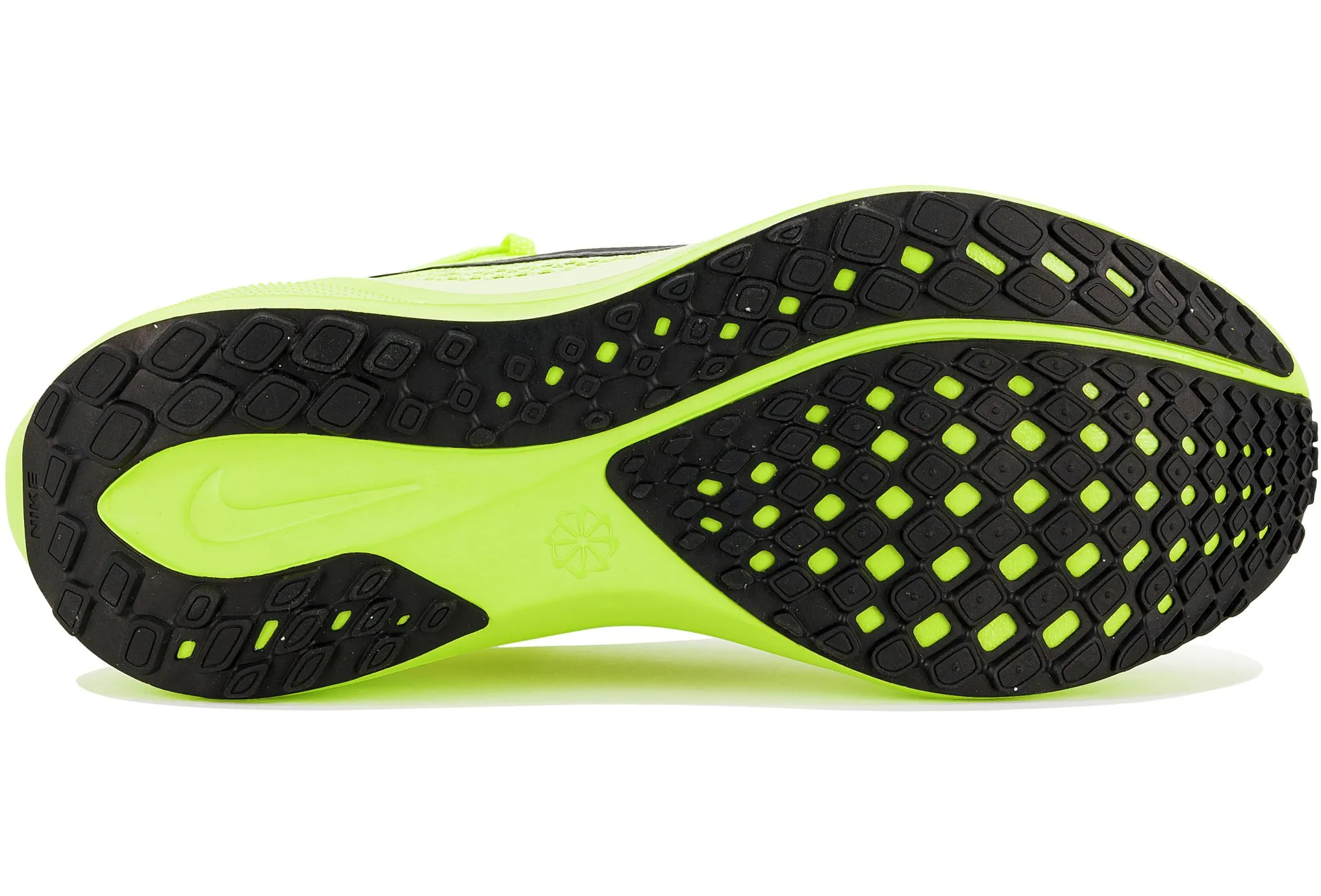 Nike Pegasus 41