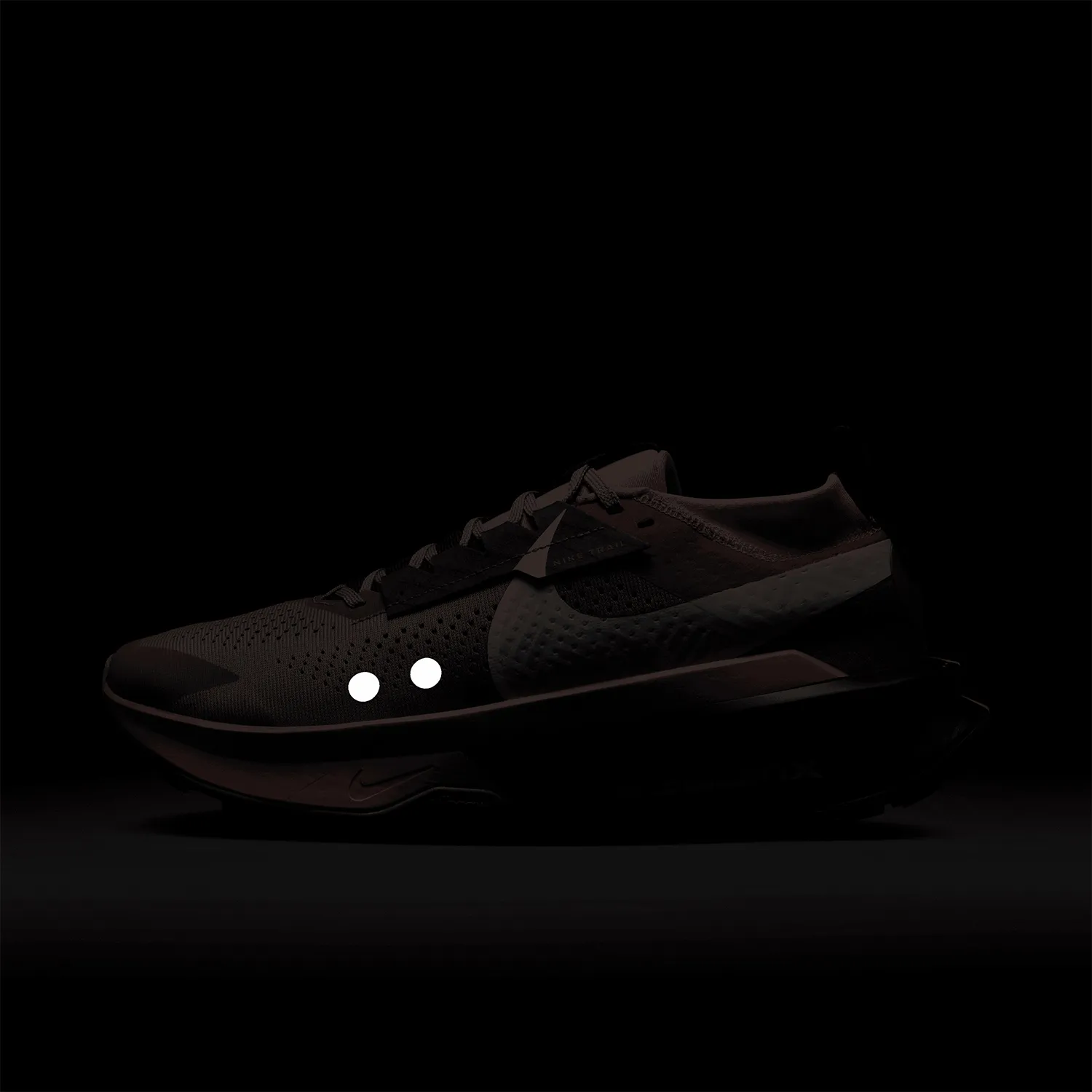 Nike Zegama Trail 2