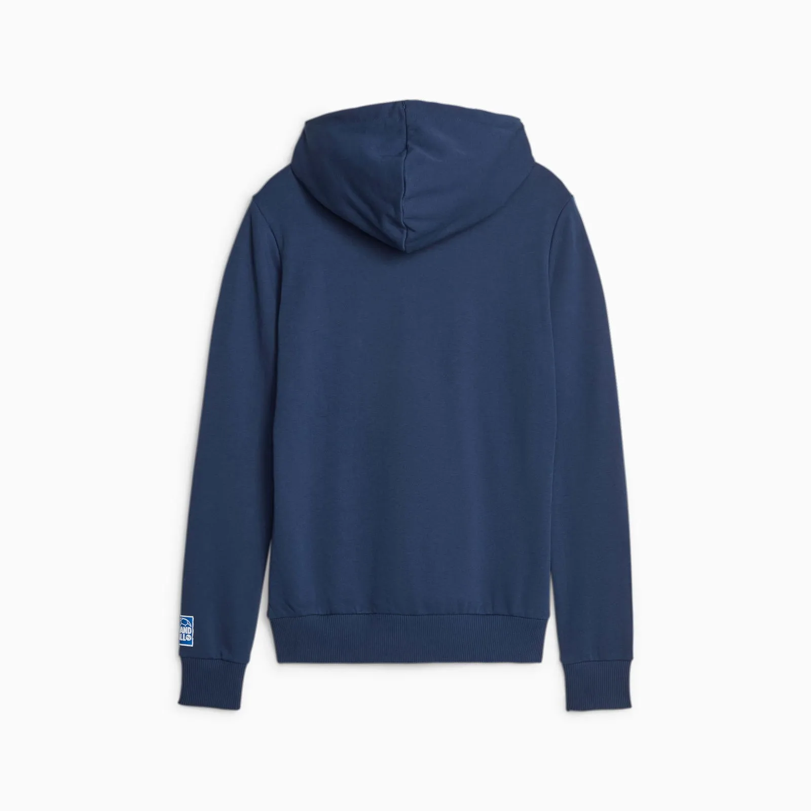 Puma Handball Hoodie Damen,