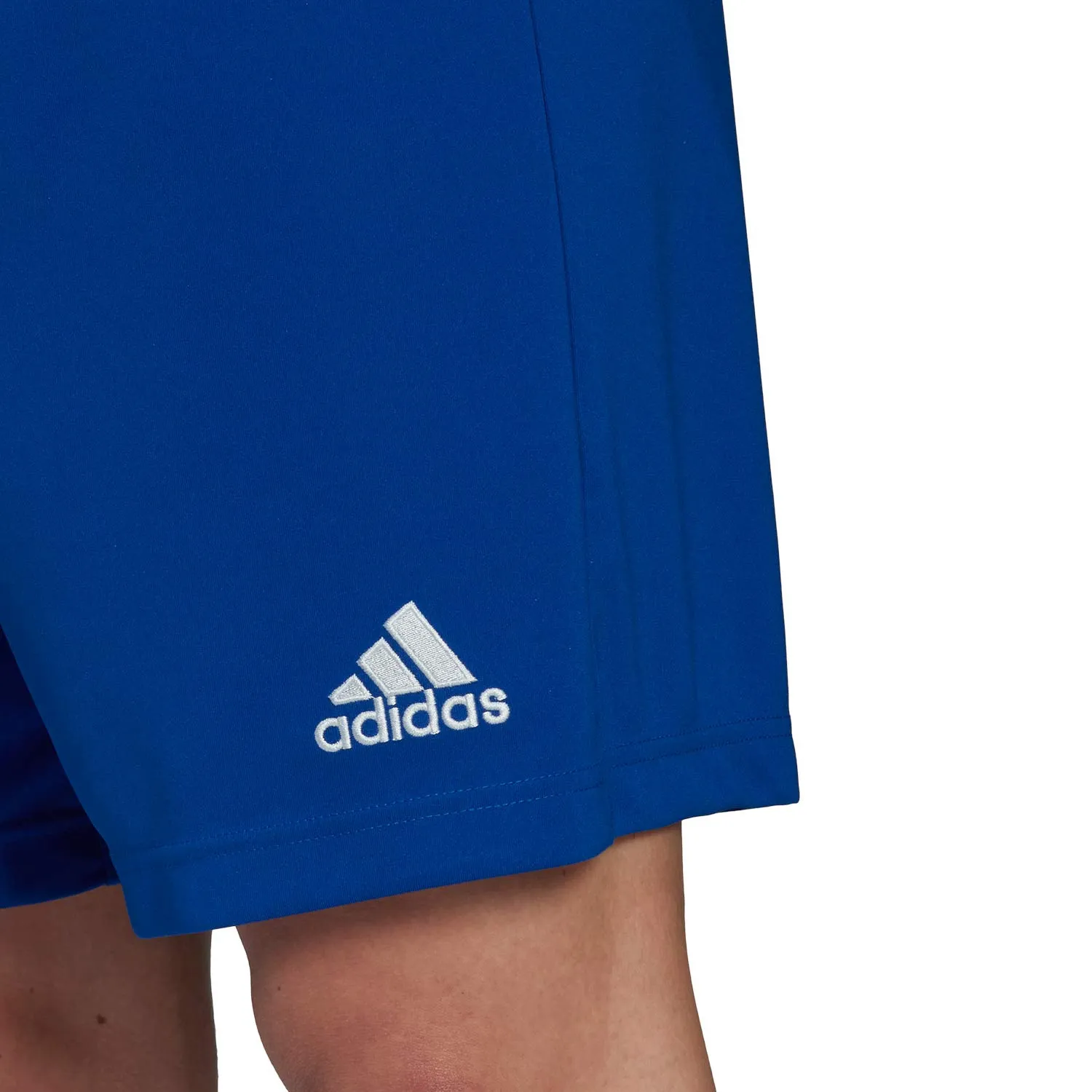 Short adidas Entrada 22