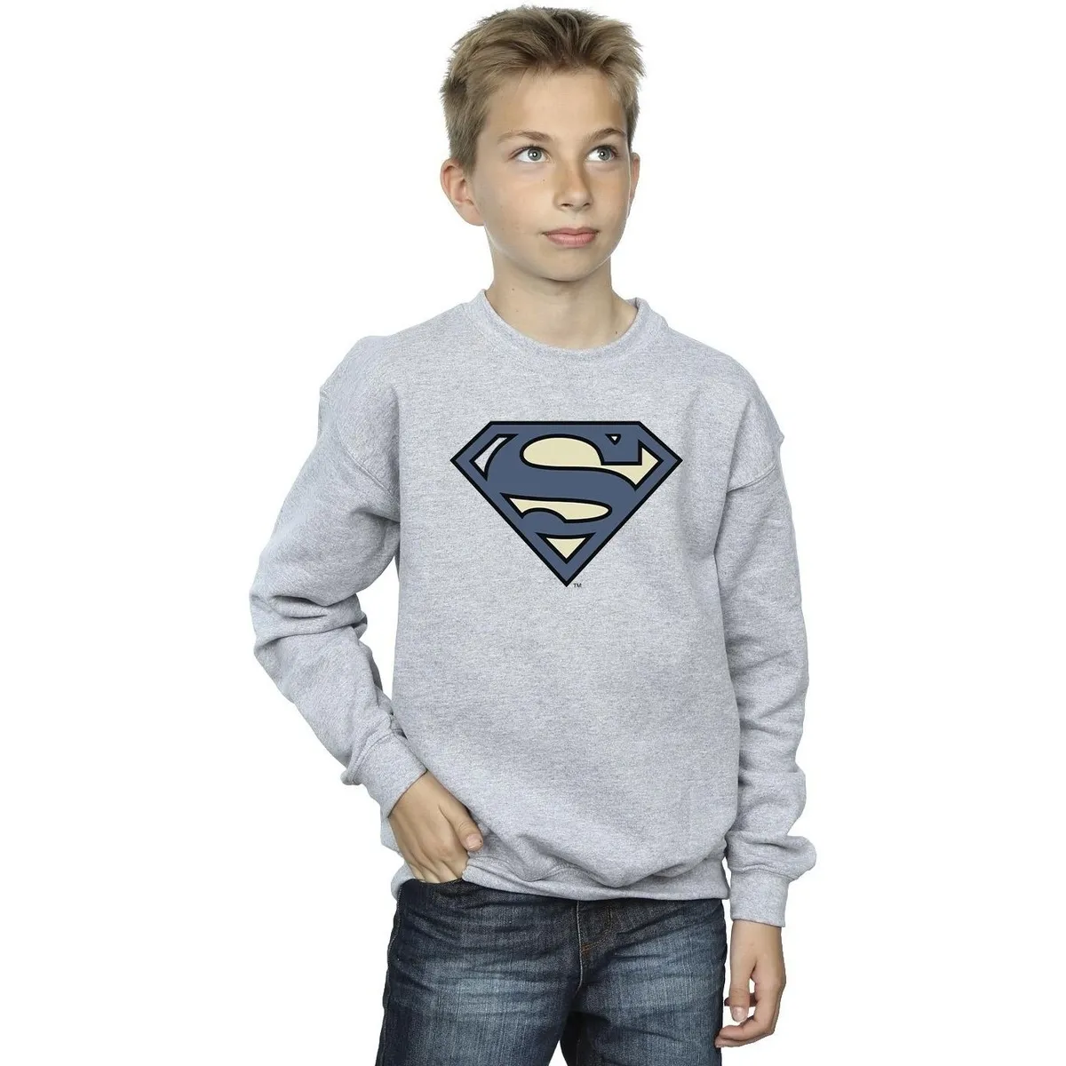 Superman Indigo Blue Logo