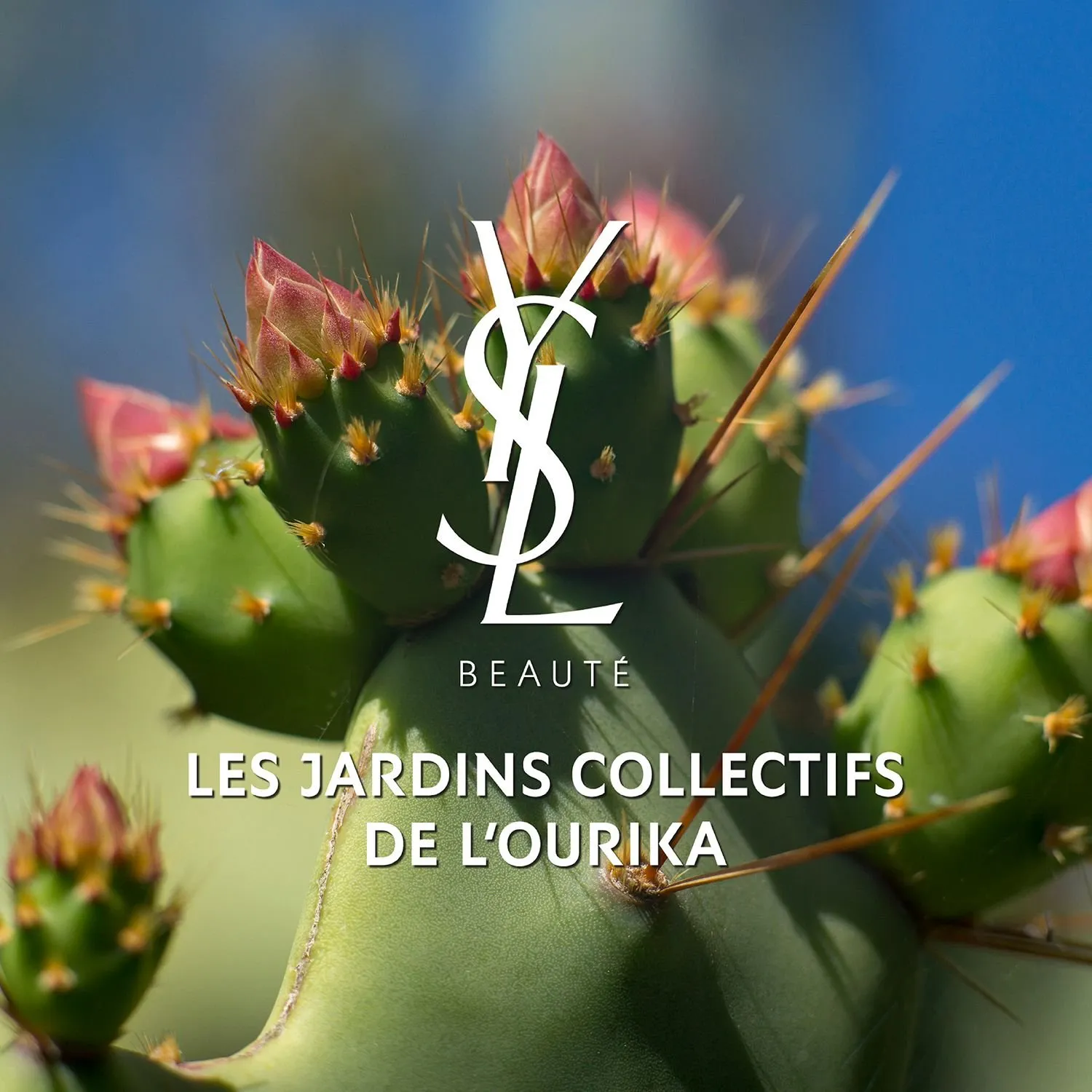 YVES SAINT LAURENT Libre Aceite sublimador para el cuerpo