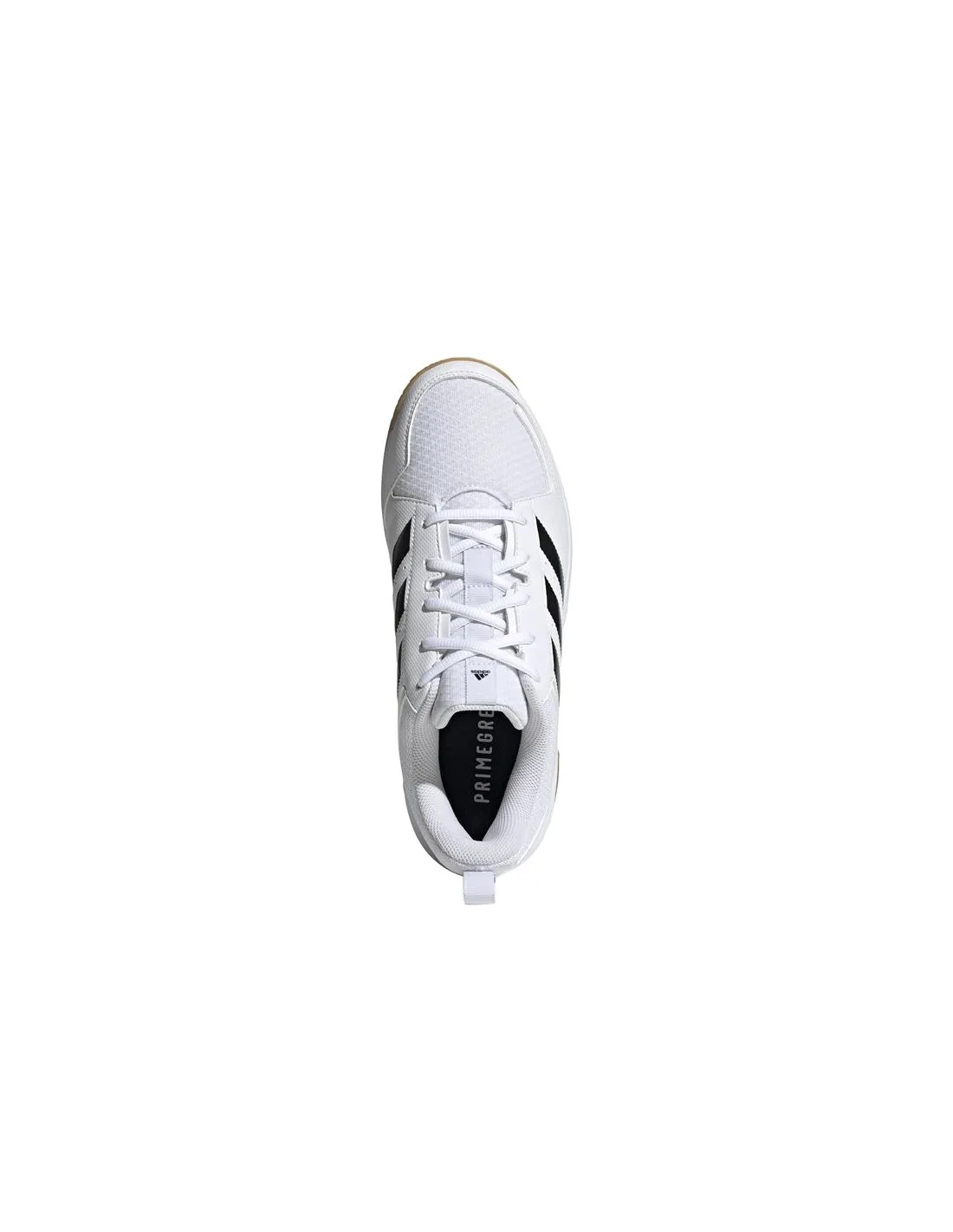 Zapatillas de trainning adidas Ligra 7 Indoor M Ftwr White